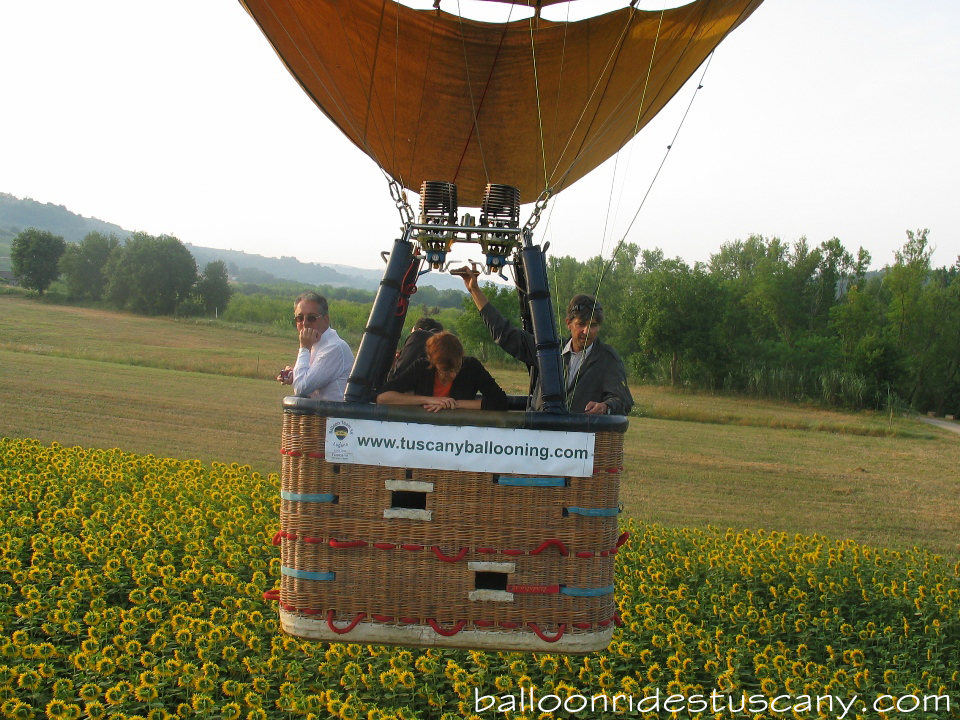skimming the sunflowers with the hotair balloon