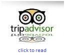 Tripadvisor testimonial