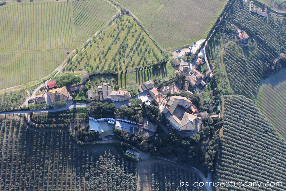 olive-groves-around-castello